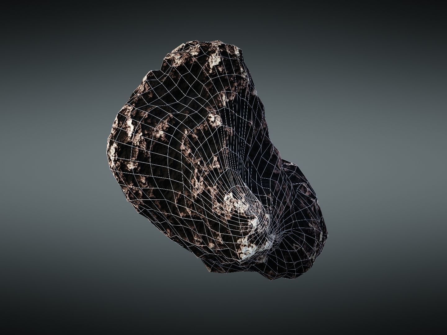 Asteroid meteorite Low-poly 3D model_26