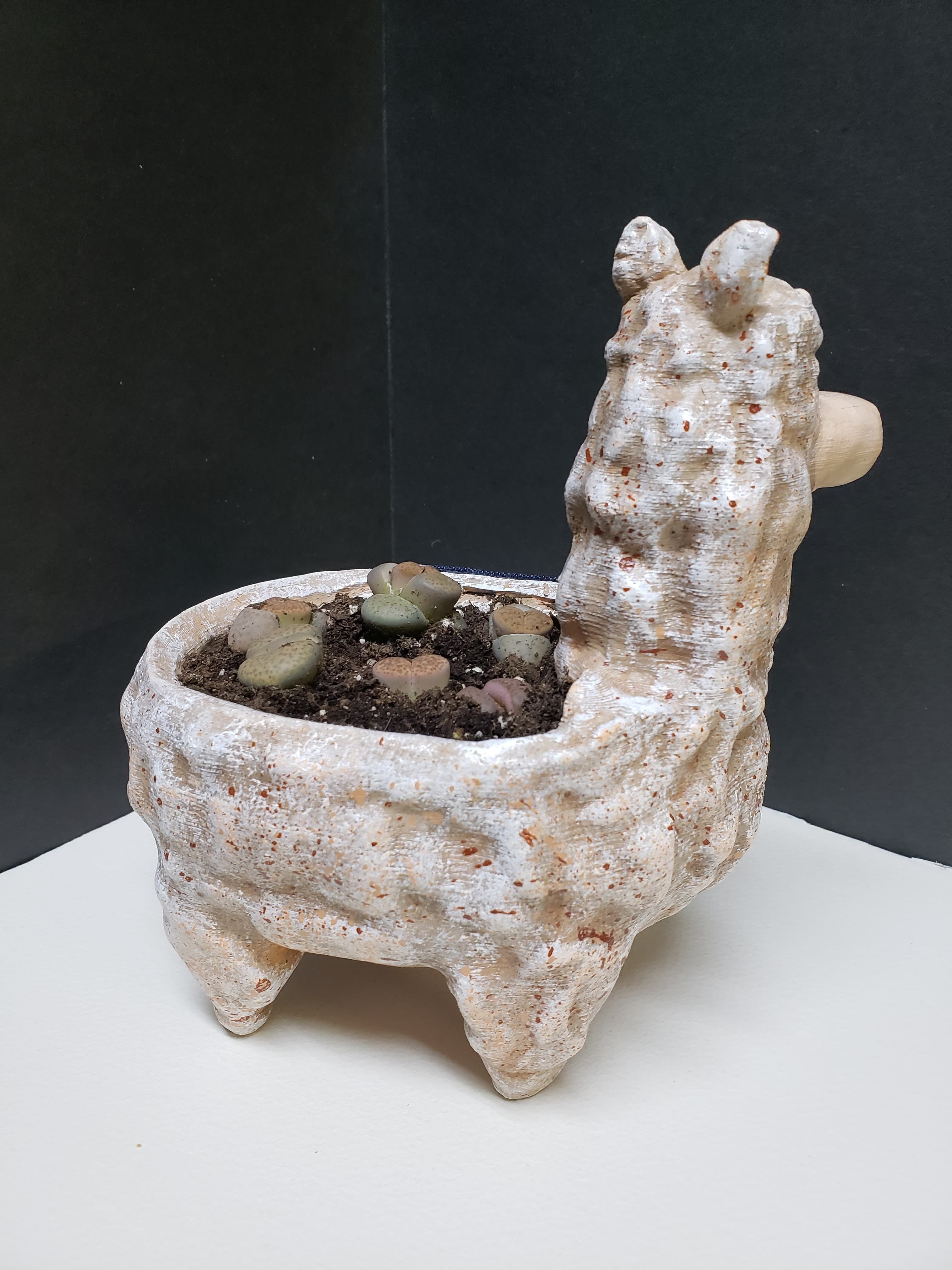 Lama Flower Pot 3D print model_17