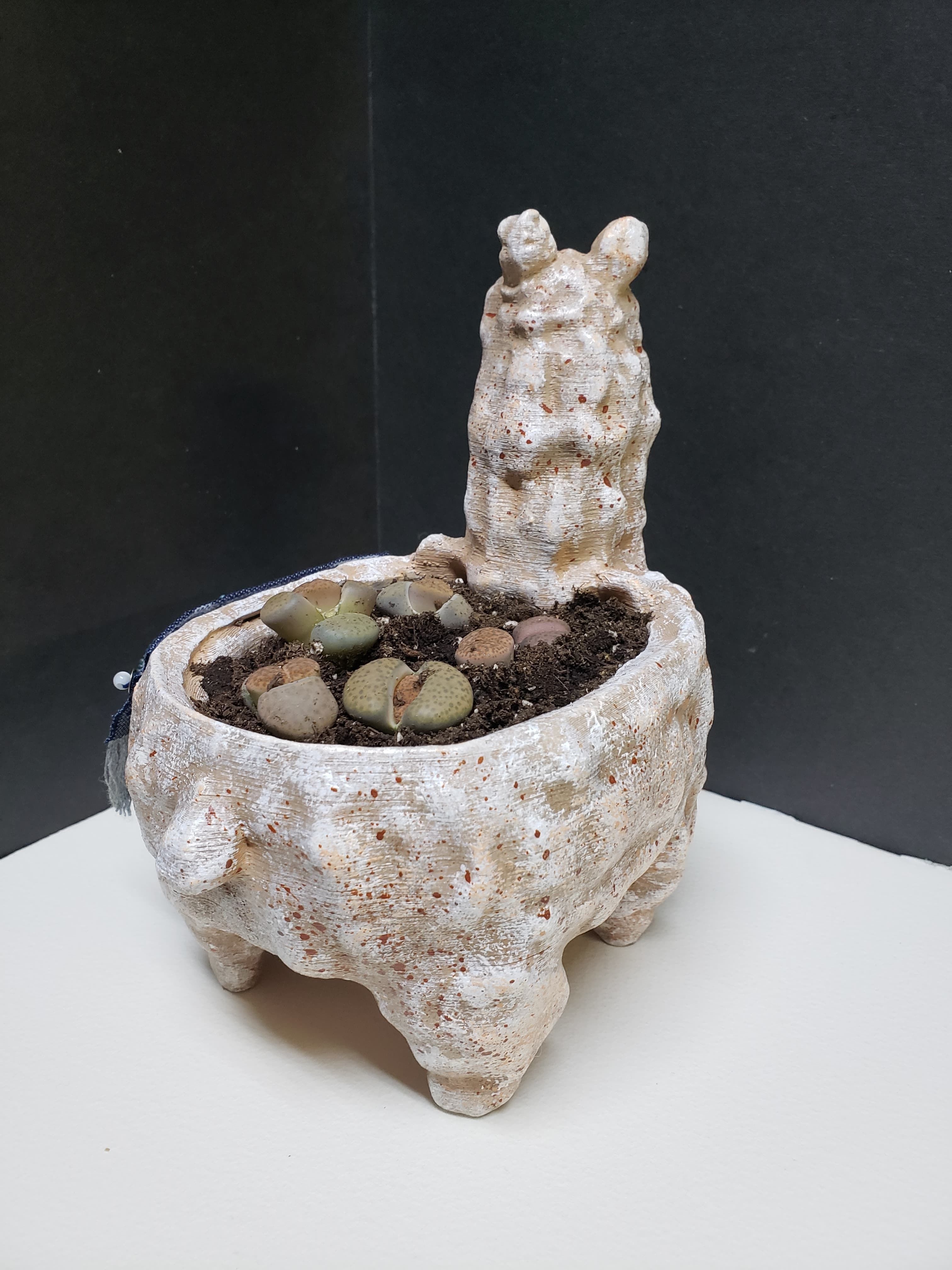 Lama Flower Pot 3D print model_8