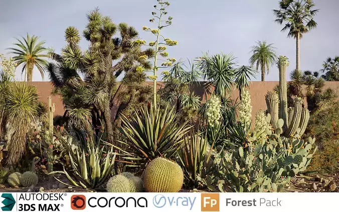 Tropical desert plant collection 3D model