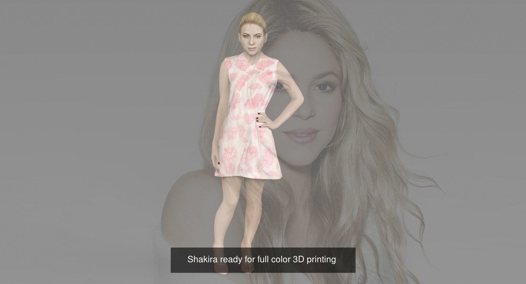 Famous Singers ready for full color 3D printing 3D Model Collection_21