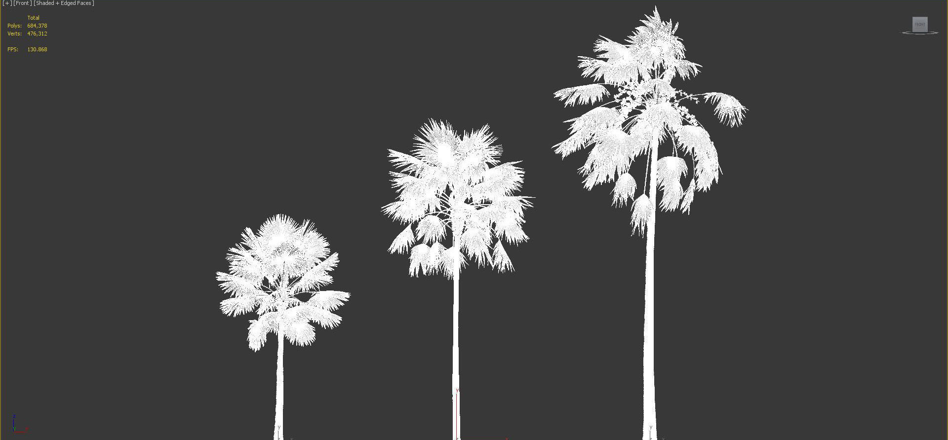 Palm Tree Collection - Include GrowFX and Mesh file 3D model_93