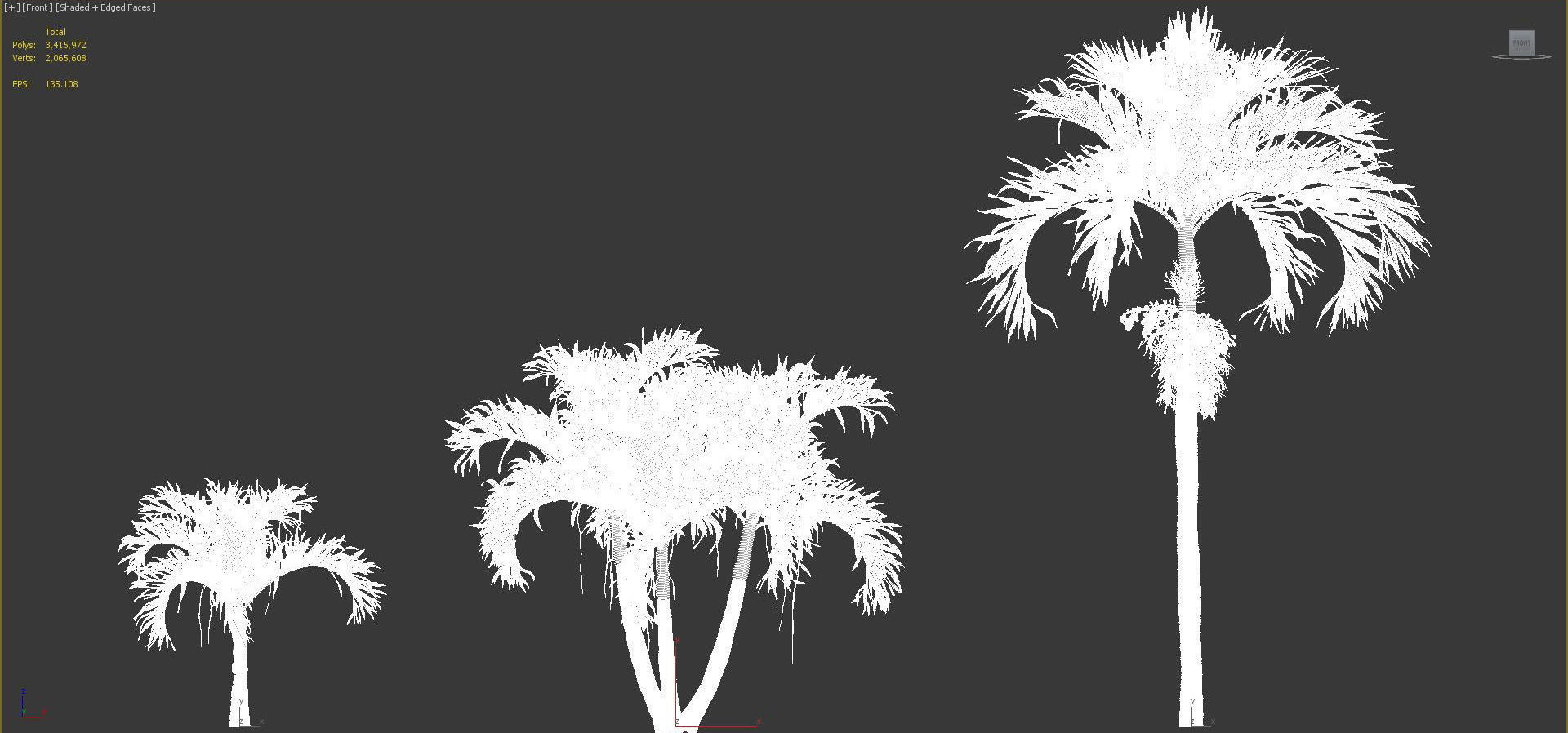 Palm Tree Collection - Include GrowFX and Mesh file 3D model_81
