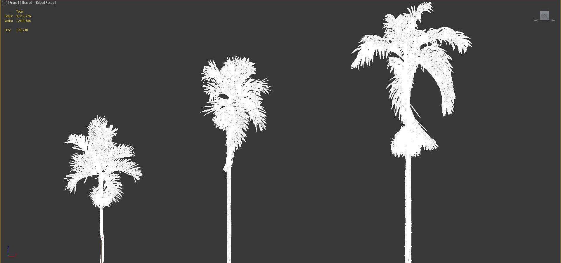 Palm Tree Collection - Include GrowFX and Mesh file 3D model_82