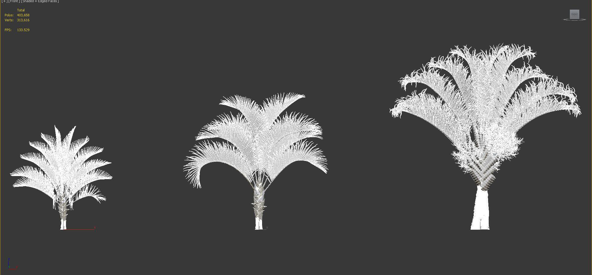 Palm Tree Collection - Include GrowFX and Mesh file 3D model_88