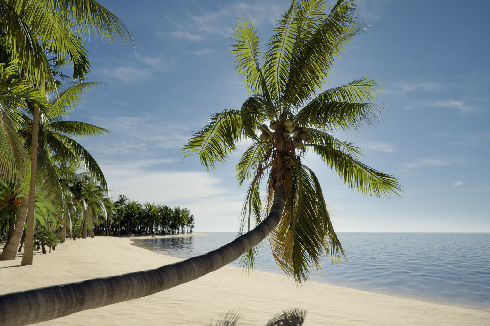 Palm Tree Collection - Include GrowFX and Mesh file 3D model_3