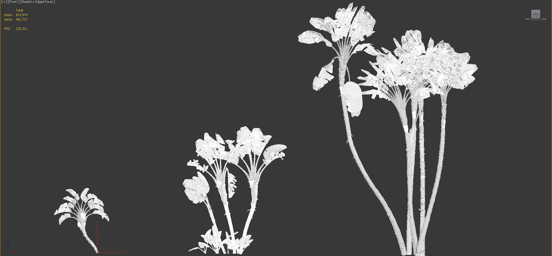 Palm Tree Collection - Include GrowFX and Mesh file 3D model_94