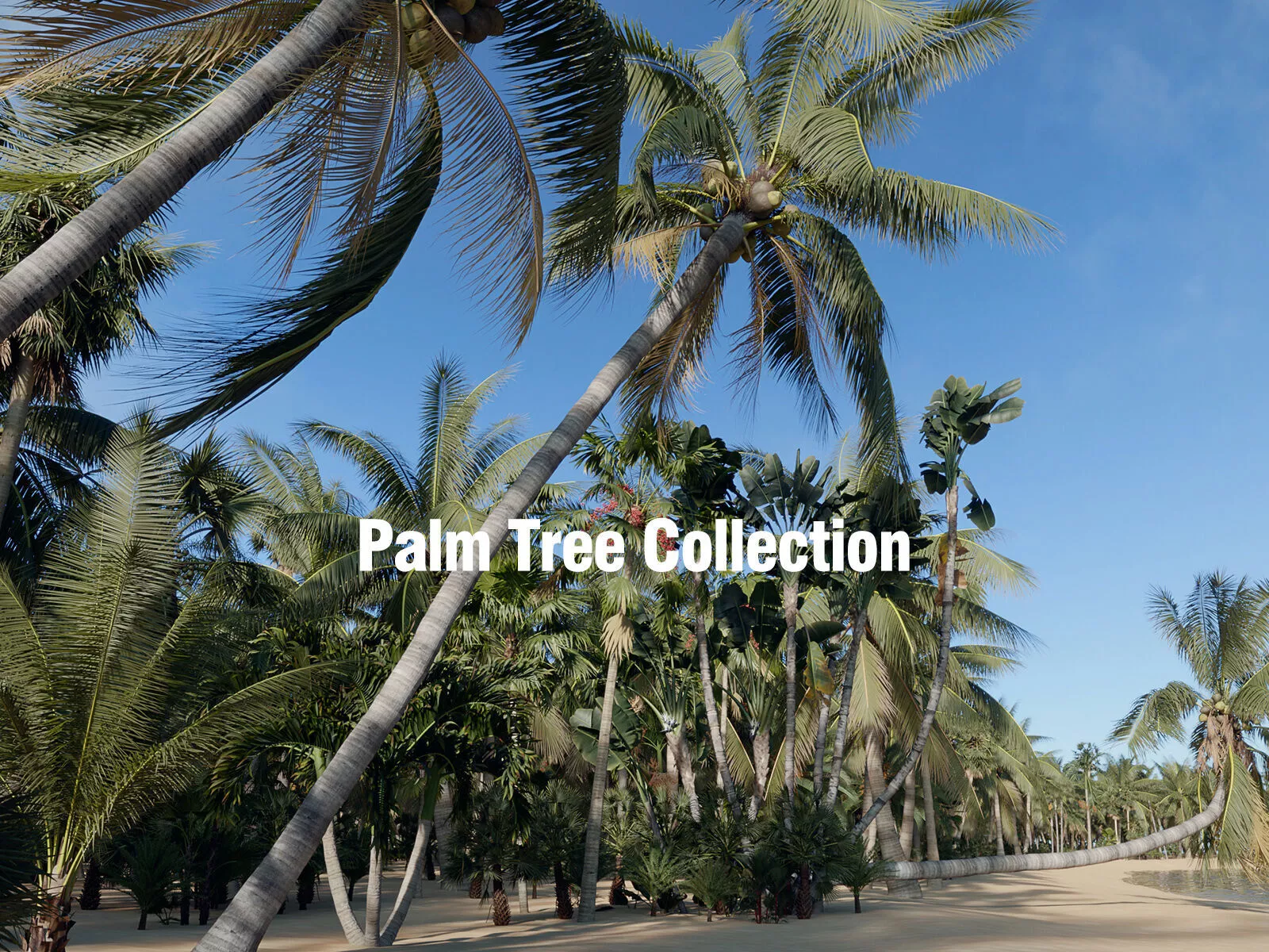 GrowFX and Mesh - Palm Tree Collection 3D model