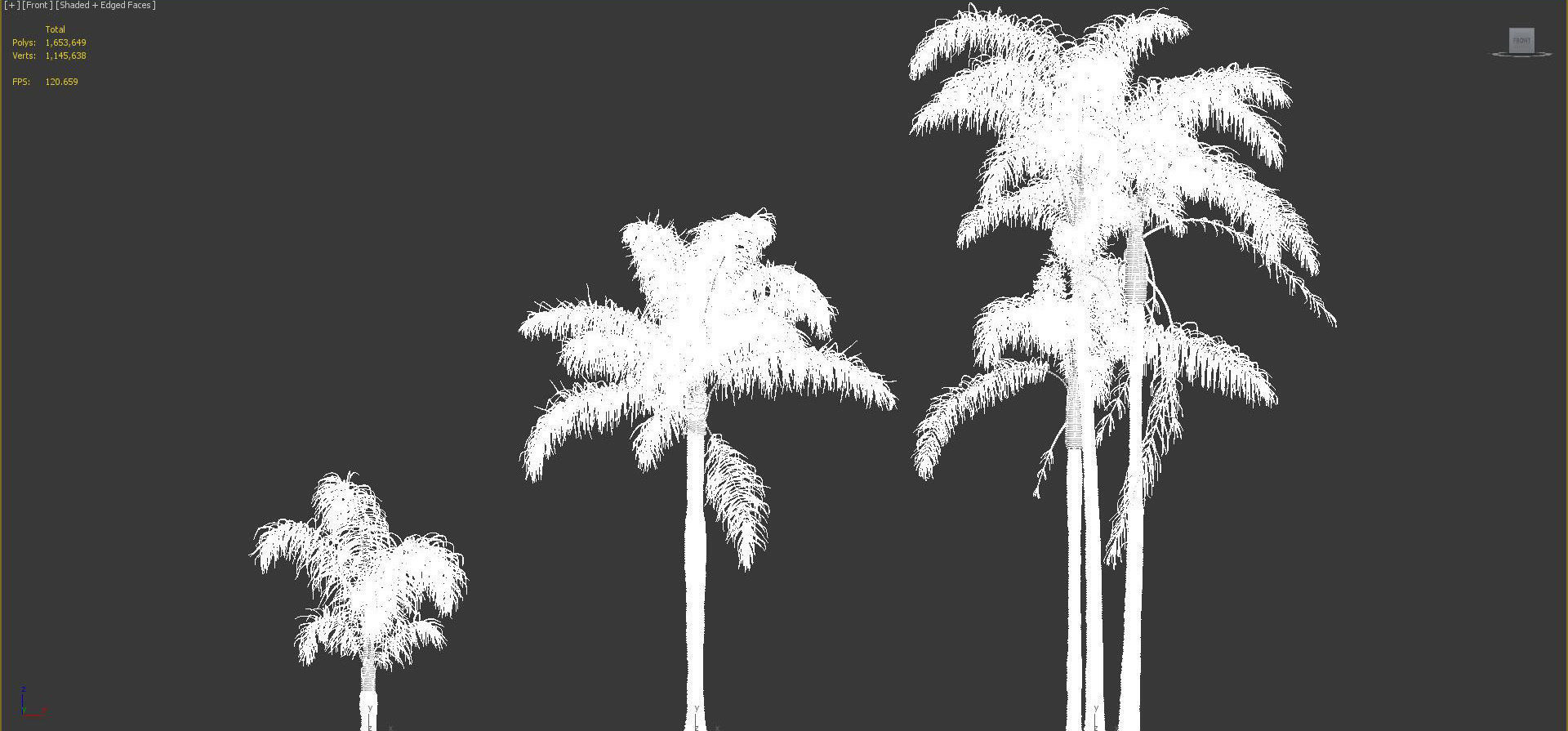 Palm Tree Collection - Include GrowFX and Mesh file 3D model_95