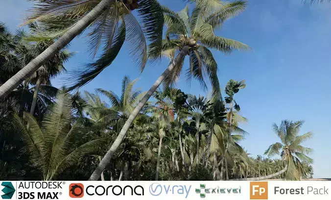 Palm Tree Collection - Include GrowFX and Mesh file 3D model