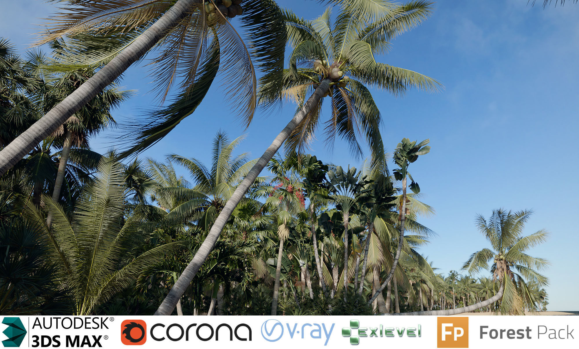 Palm Tree Collection - Include GrowFX and Mesh file 3D model_0