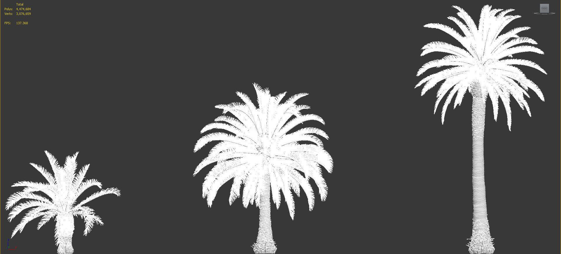 Palm Tree Collection - Include GrowFX and Mesh file 3D model_89