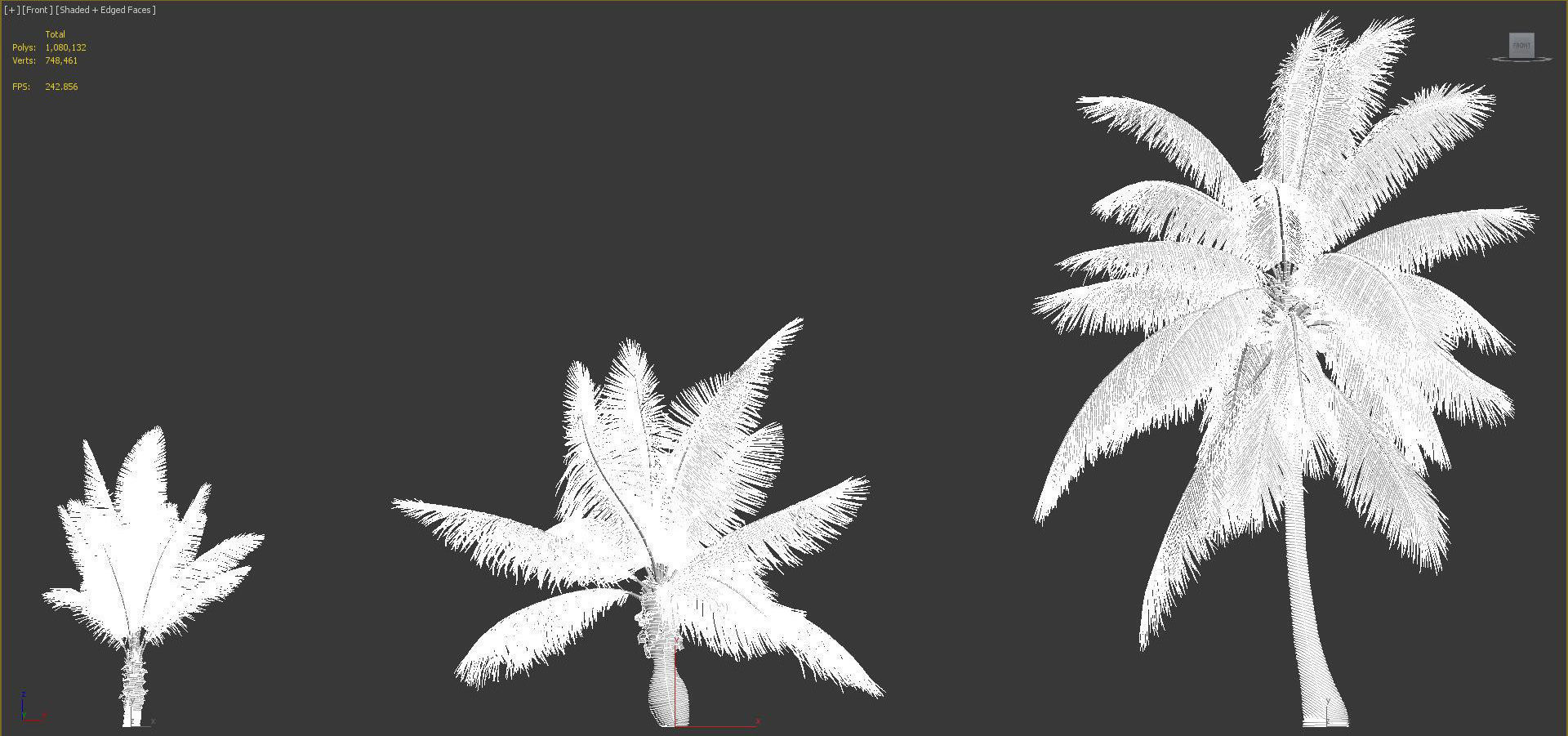Palm Tree Collection - Include GrowFX and Mesh file 3D model_85