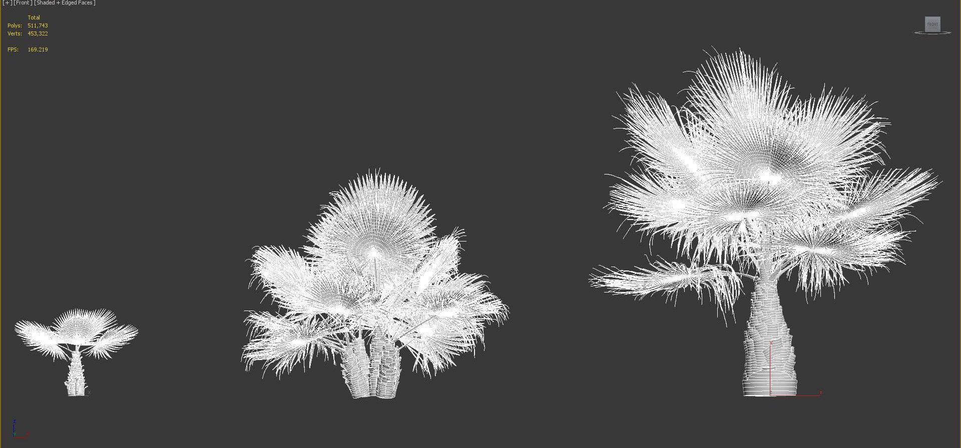 Palm Tree Collection - Include GrowFX and Mesh file 3D model_96