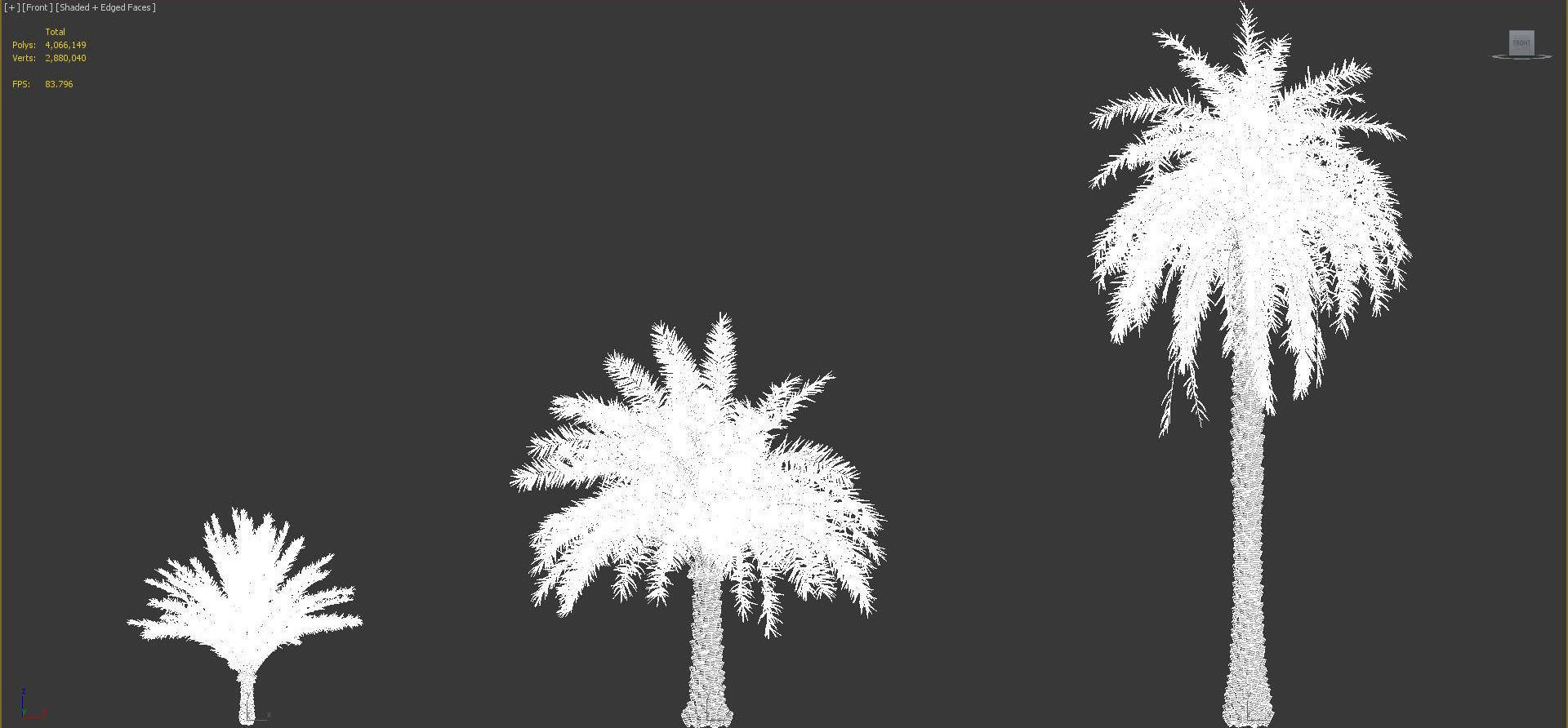 Palm Tree Collection - Include GrowFX and Mesh file 3D model_90