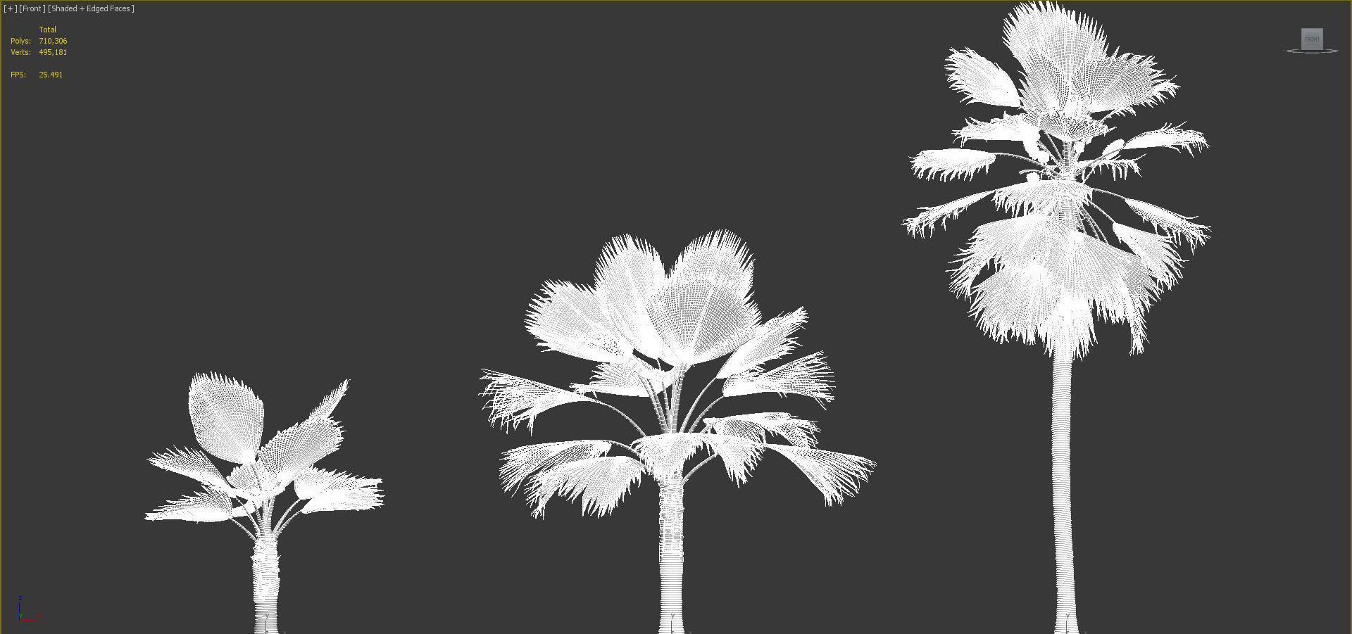 Palm Tree Collection - Include GrowFX and Mesh file 3D model_91