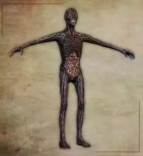 Zombie 3D Model human body Low-poly 3D model