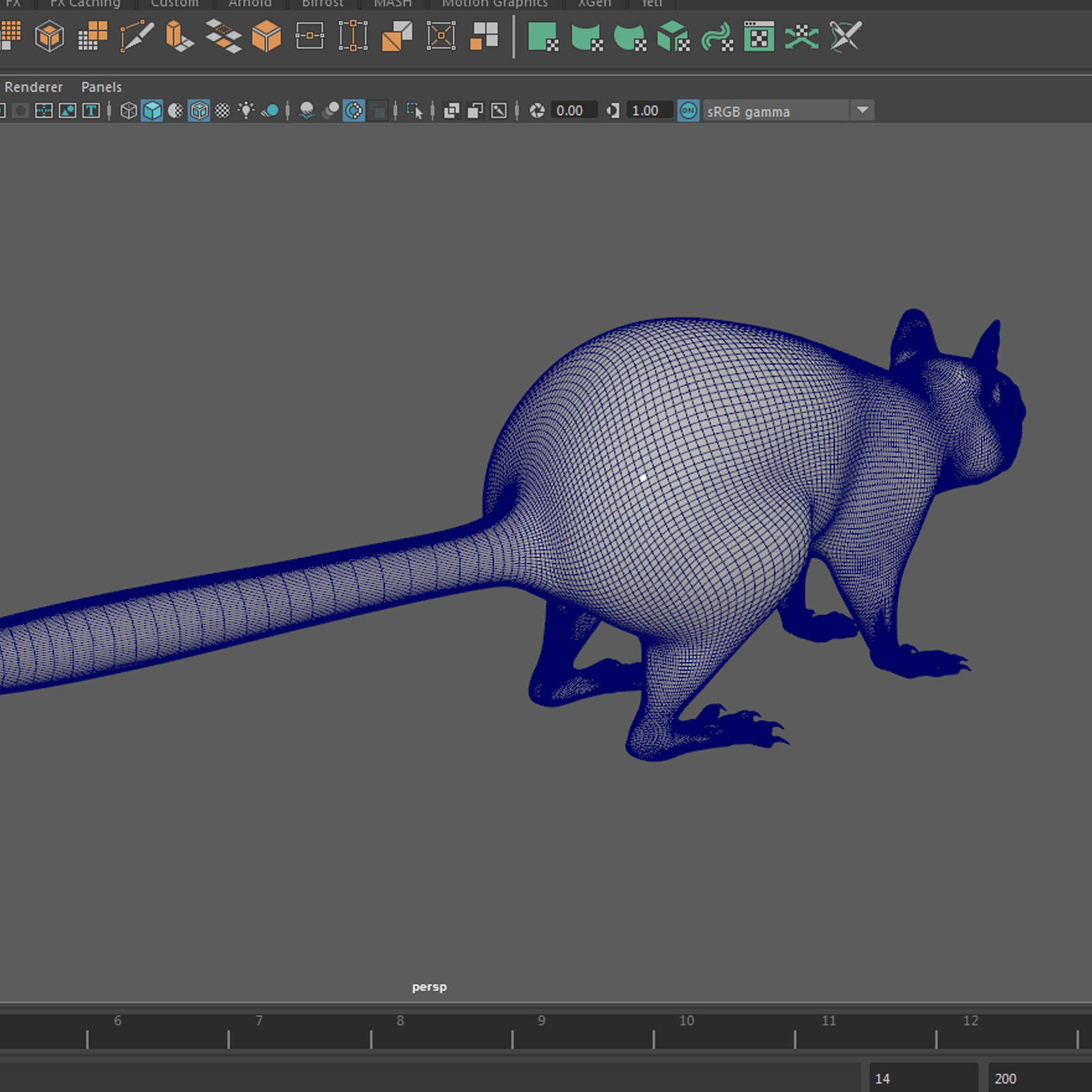 Squirrel Red  3D model_12