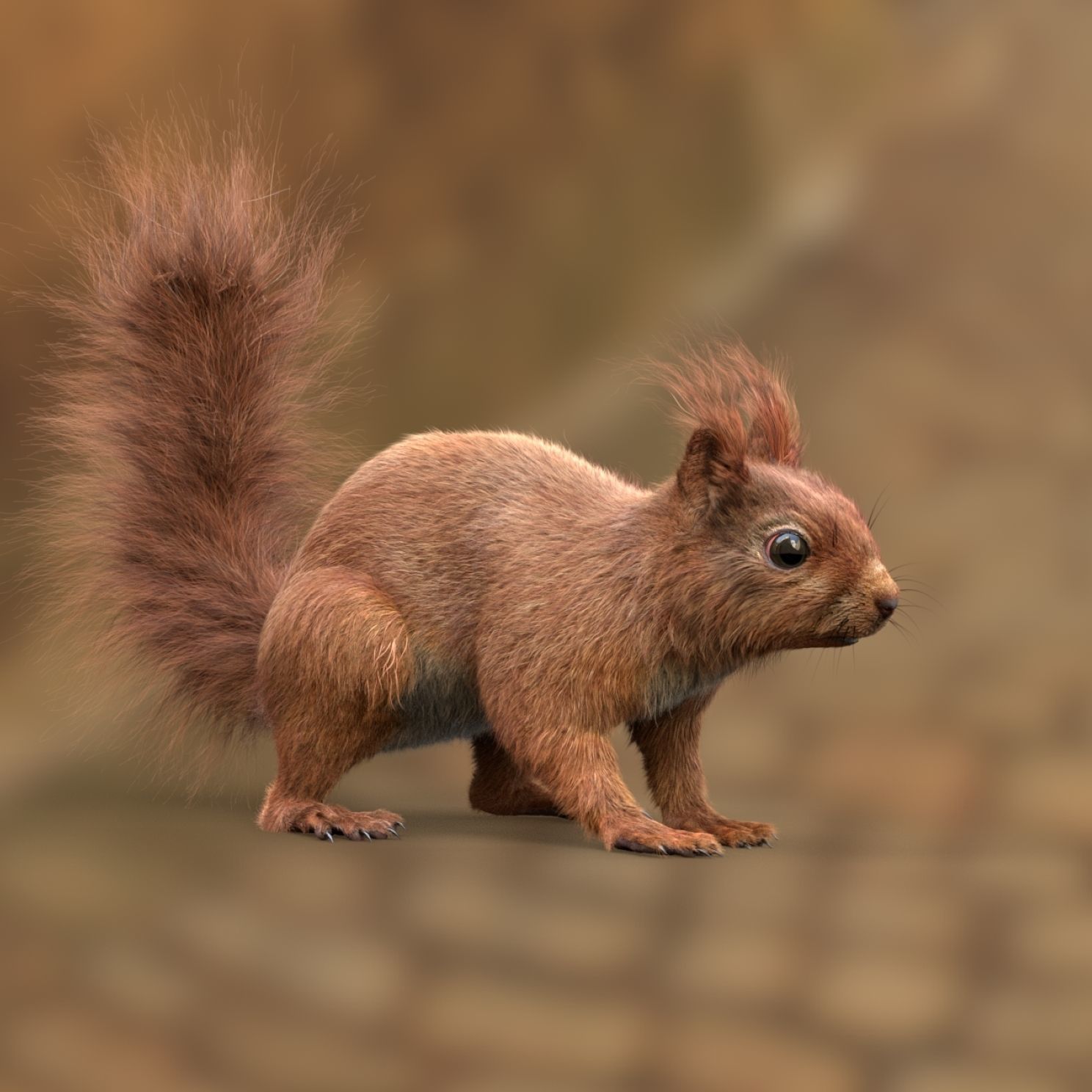 Squirrel Red  3D model_4