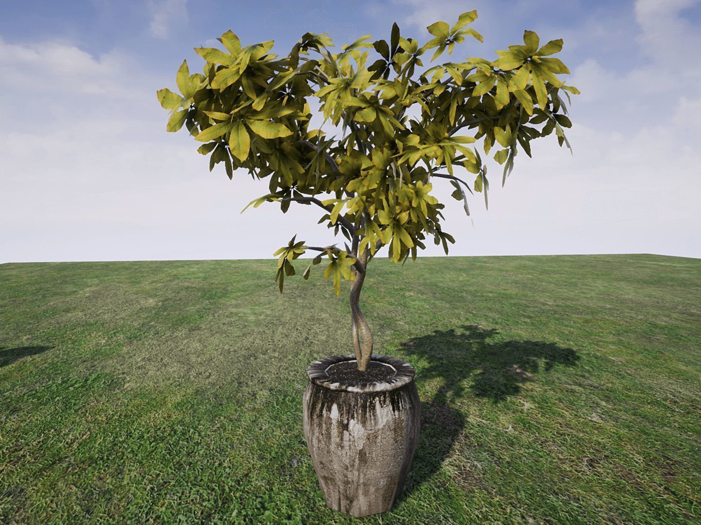 House Plants for UNREAL Low-poly 3D model_8