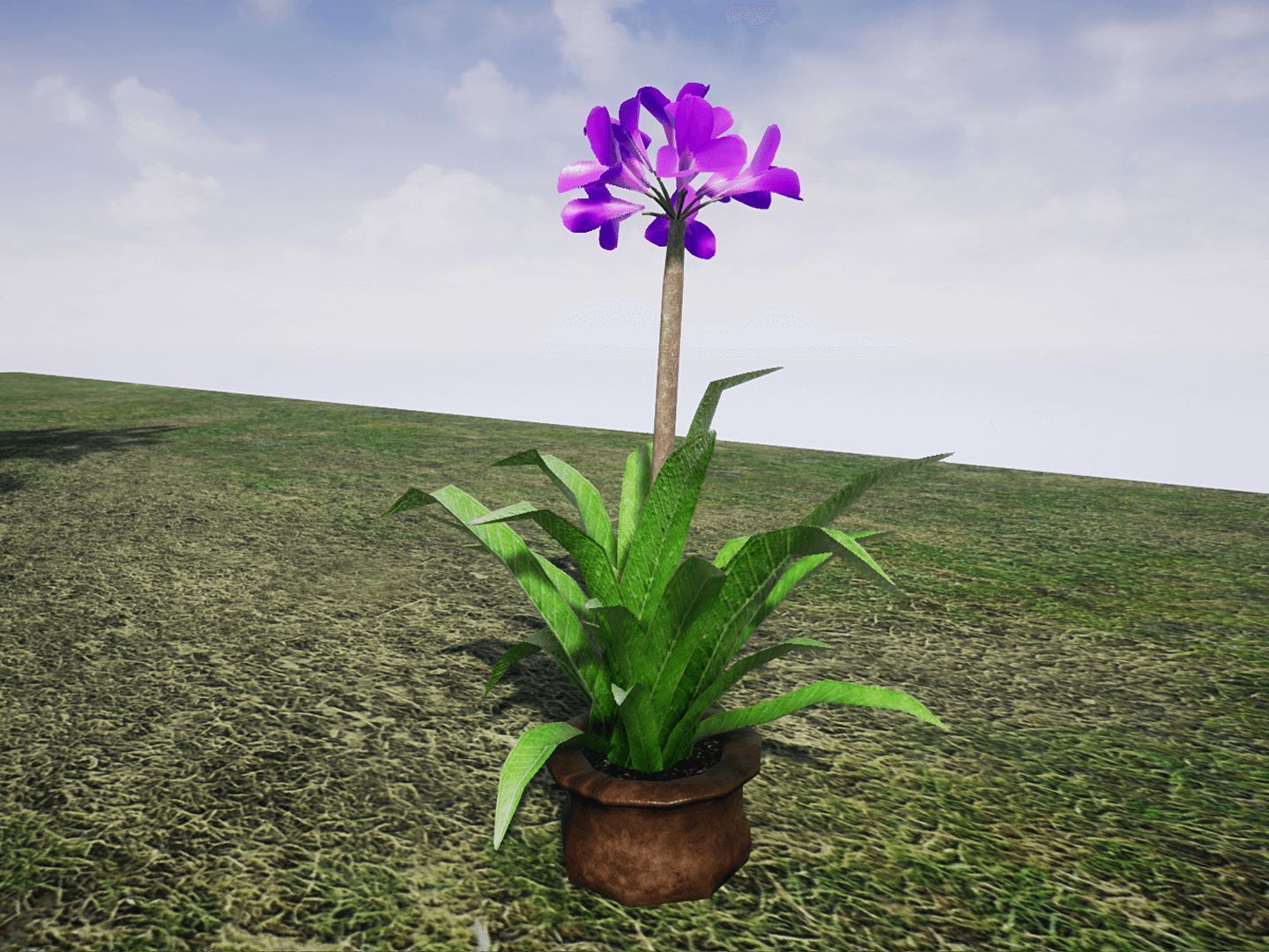 House Plants for UNREAL Low-poly 3D model_12