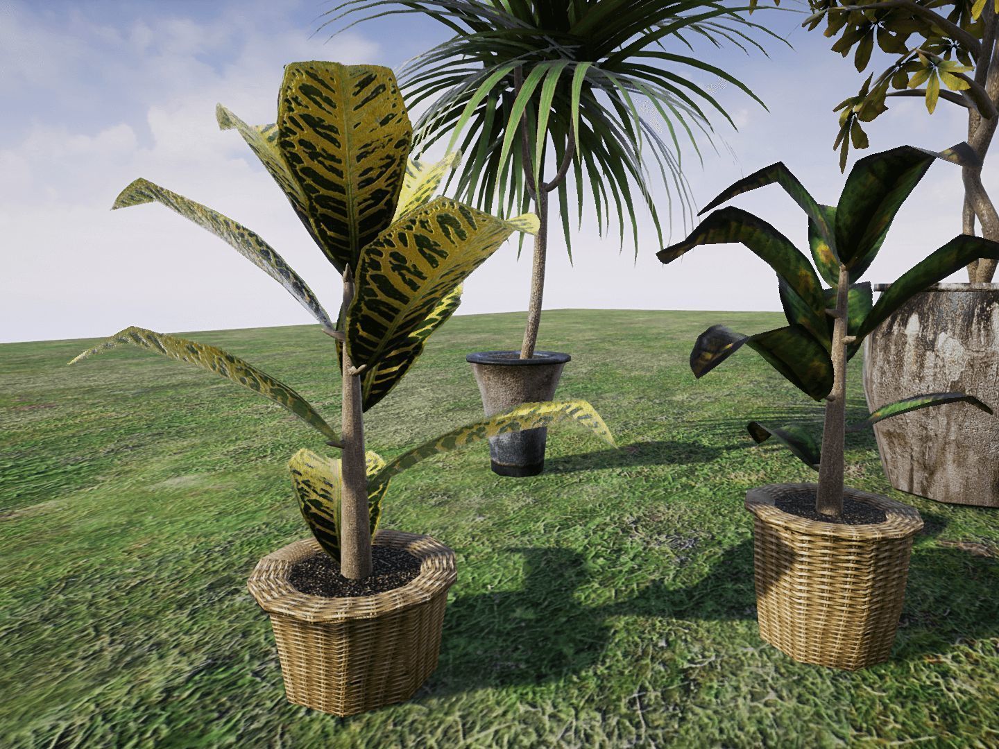 House Plants for UNREAL Low-poly 3D model_6