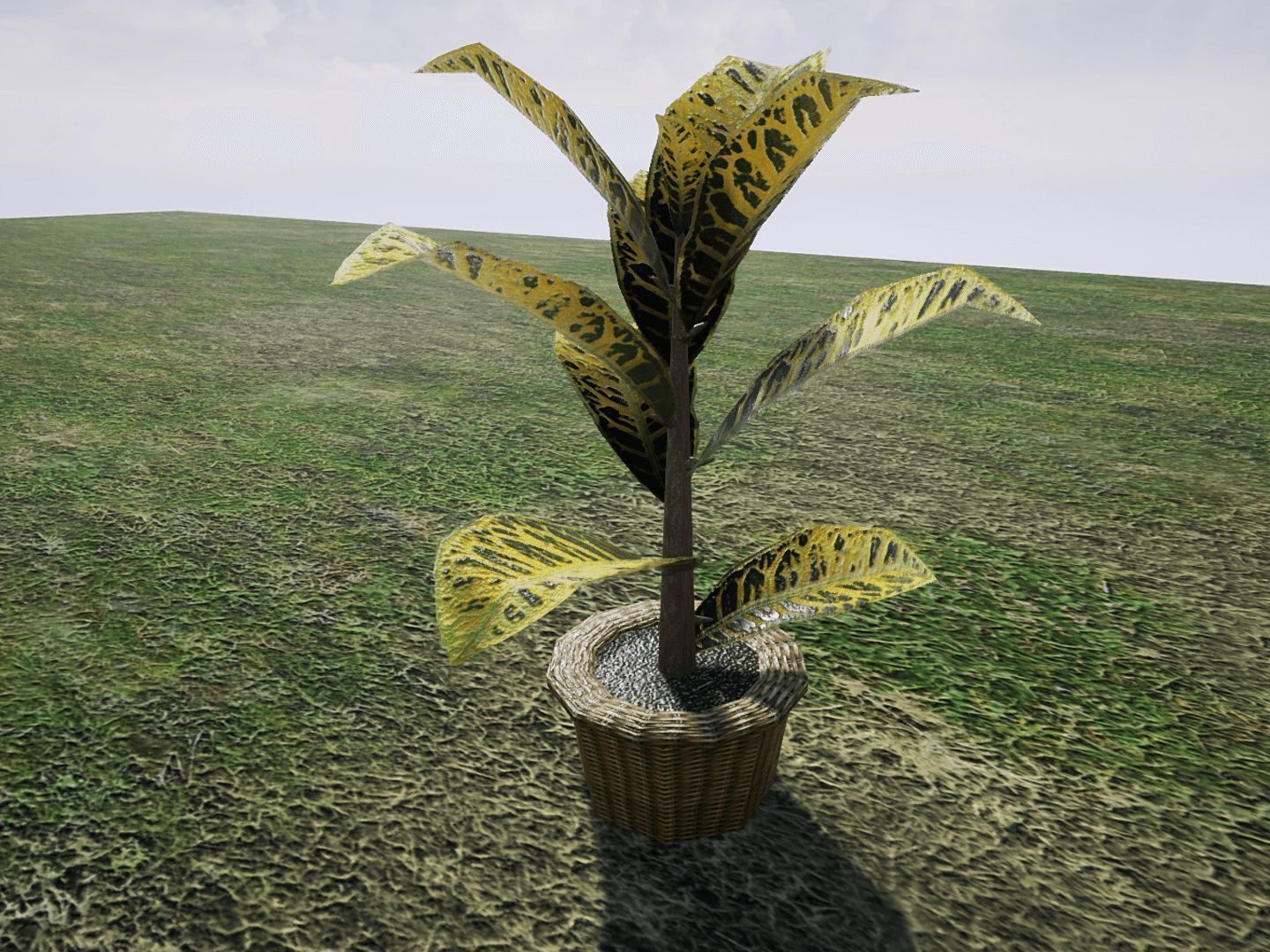 House Plants for UNREAL Low-poly 3D model_13