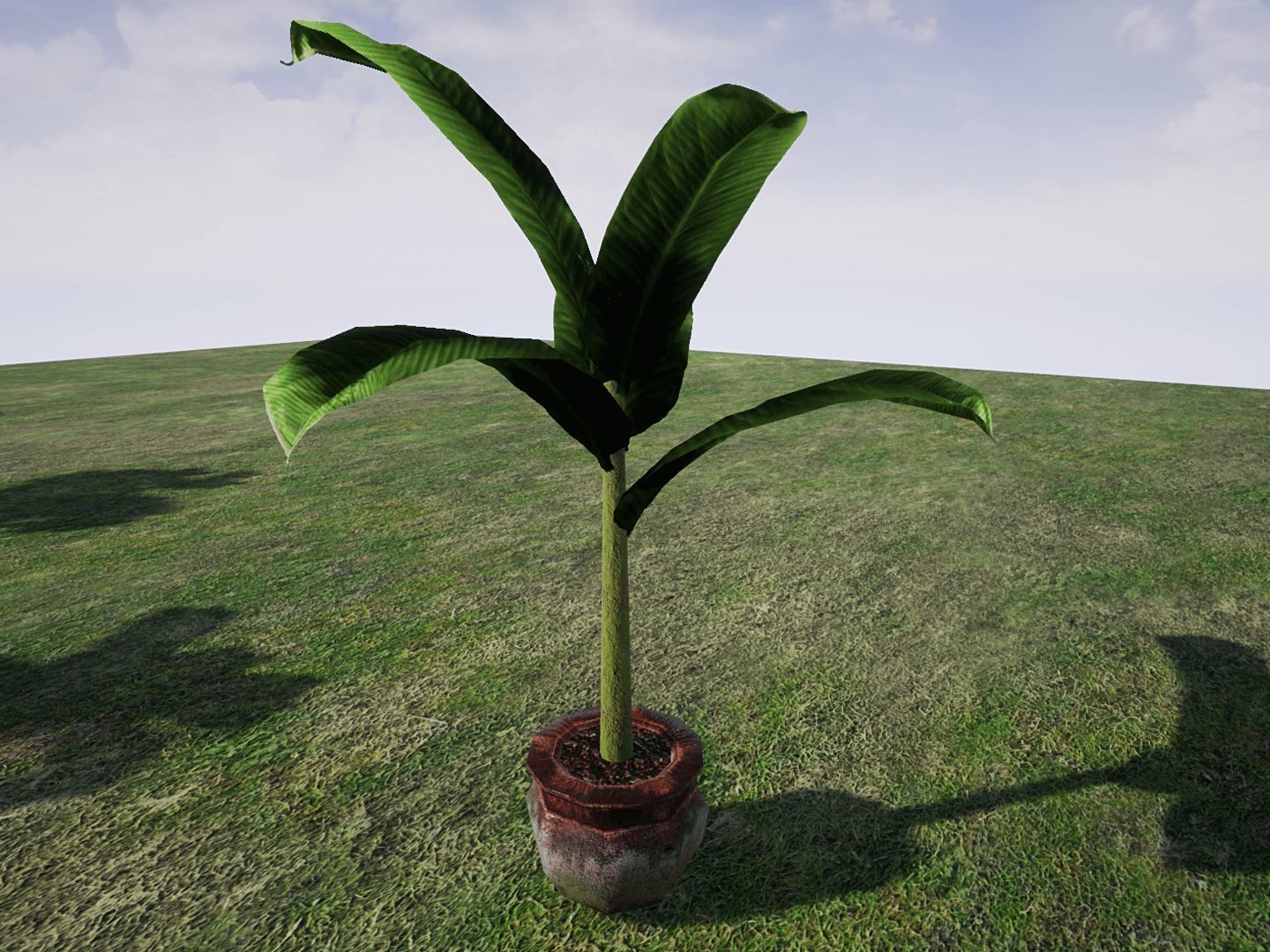House Plants for UNREAL Low-poly 3D model_7