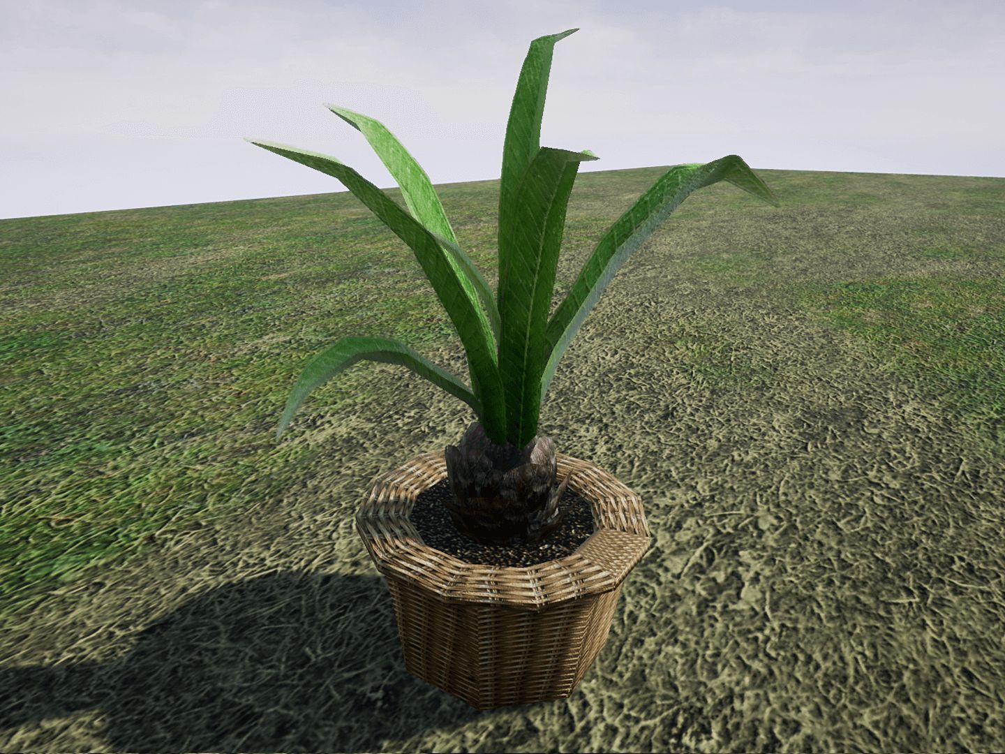 House Plants for UNREAL Low-poly 3D model_1