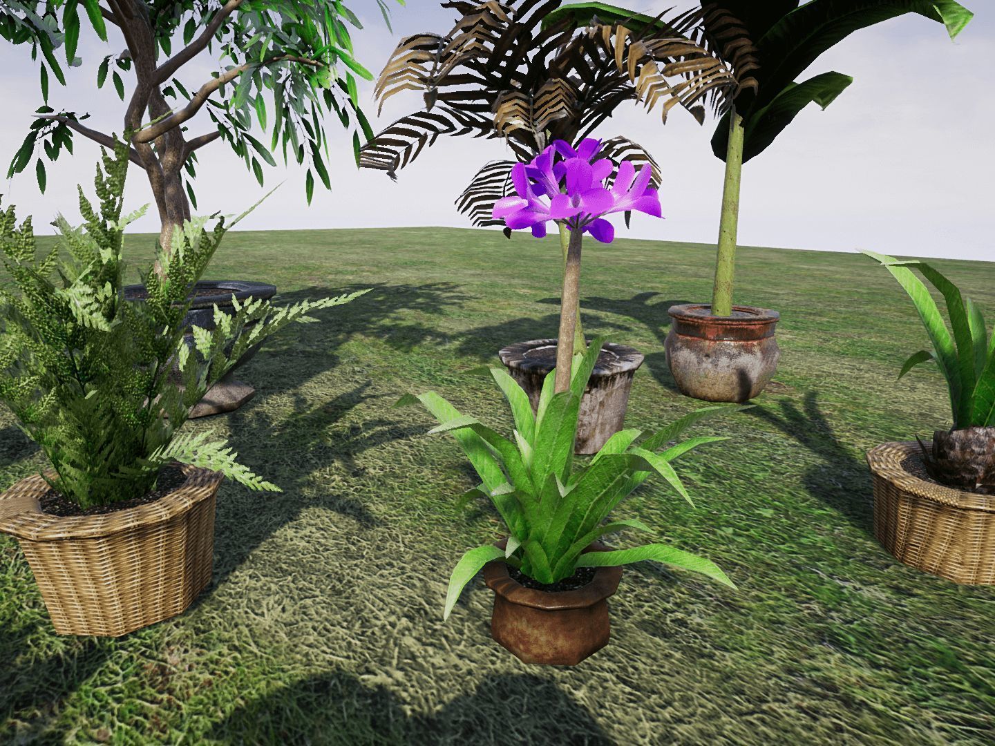 House Plants for UNREAL Low-poly 3D model_5