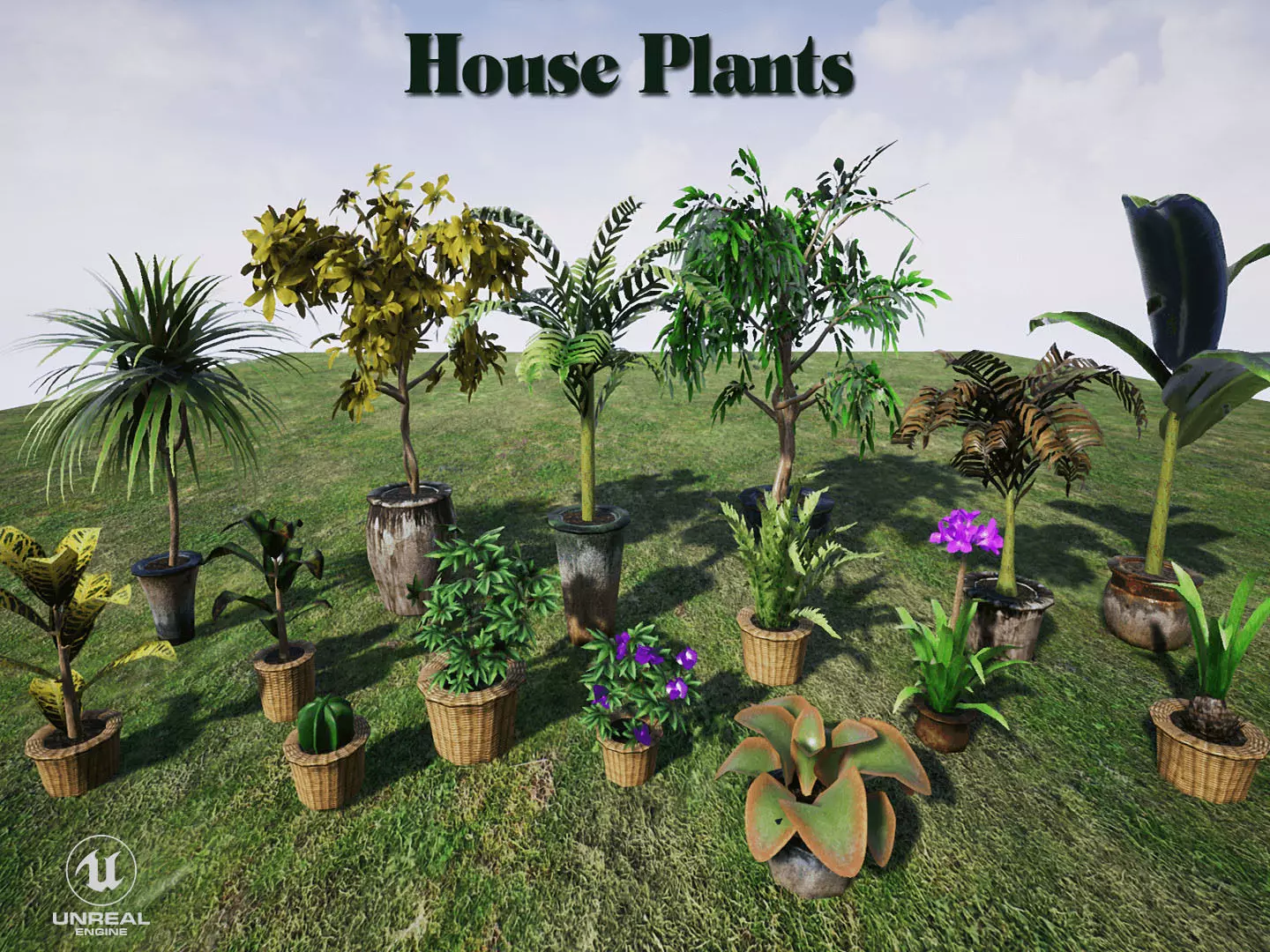 House Plants for UNREAL Low-poly 3D model_0