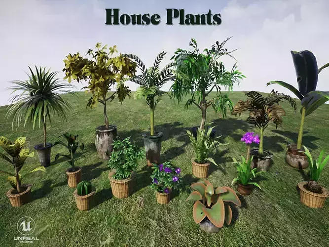 House Plants for UNREAL