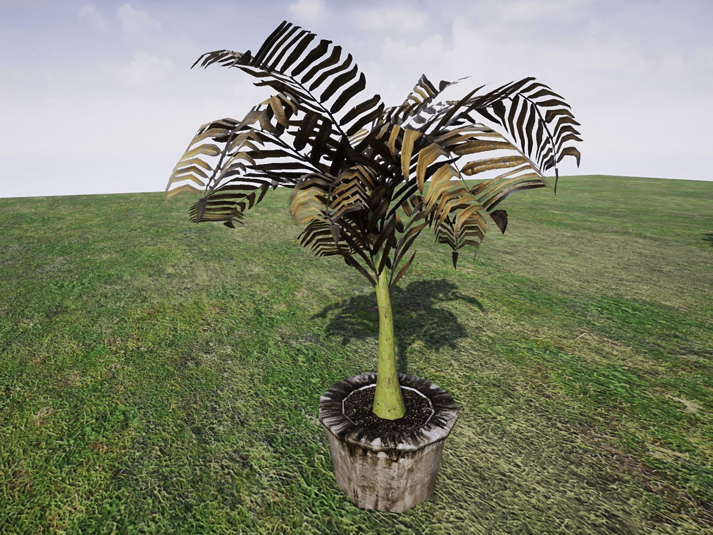 House Plants for UNREAL Low-poly 3D model_10