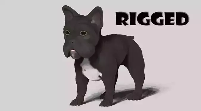 frenchie bulldog Low-poly 3D model