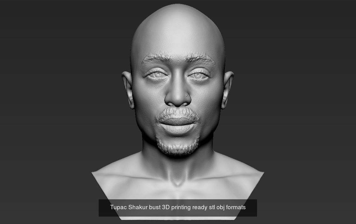 Famous Rappers busts 3D Model Collection_3