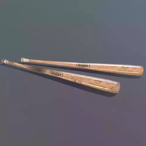 Louisville Slugger Baseball Bat - Clean and Dirty Variants