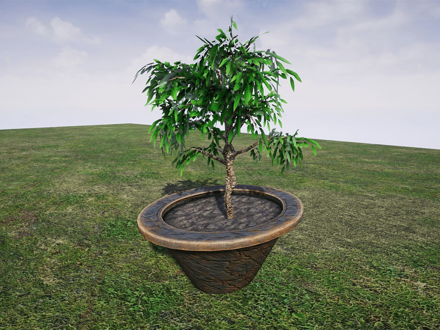 House Plants 2 for UNREAL Low-poly 3D model_4