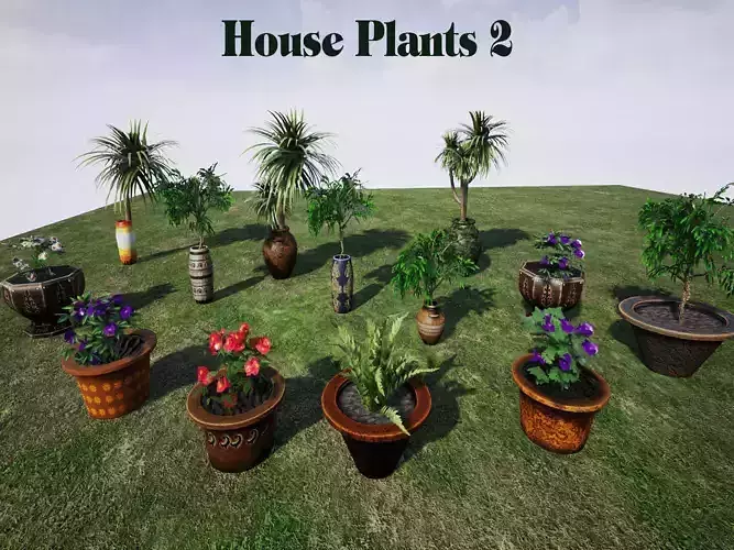House Plants 2 for UNREAL