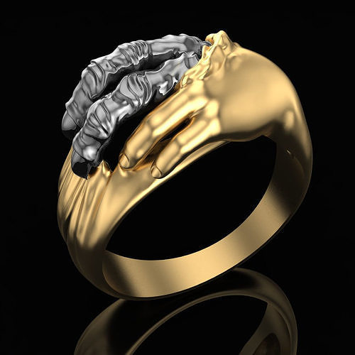 ring Transformation 3D print model