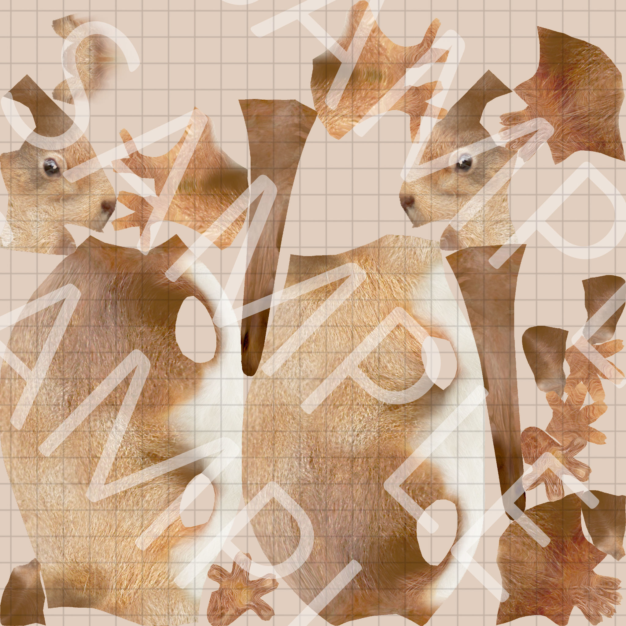 red squirrel Model 3D model_11