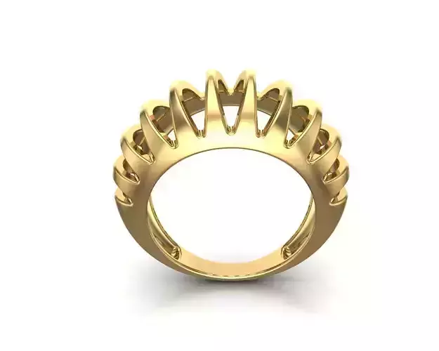 sliced ring model