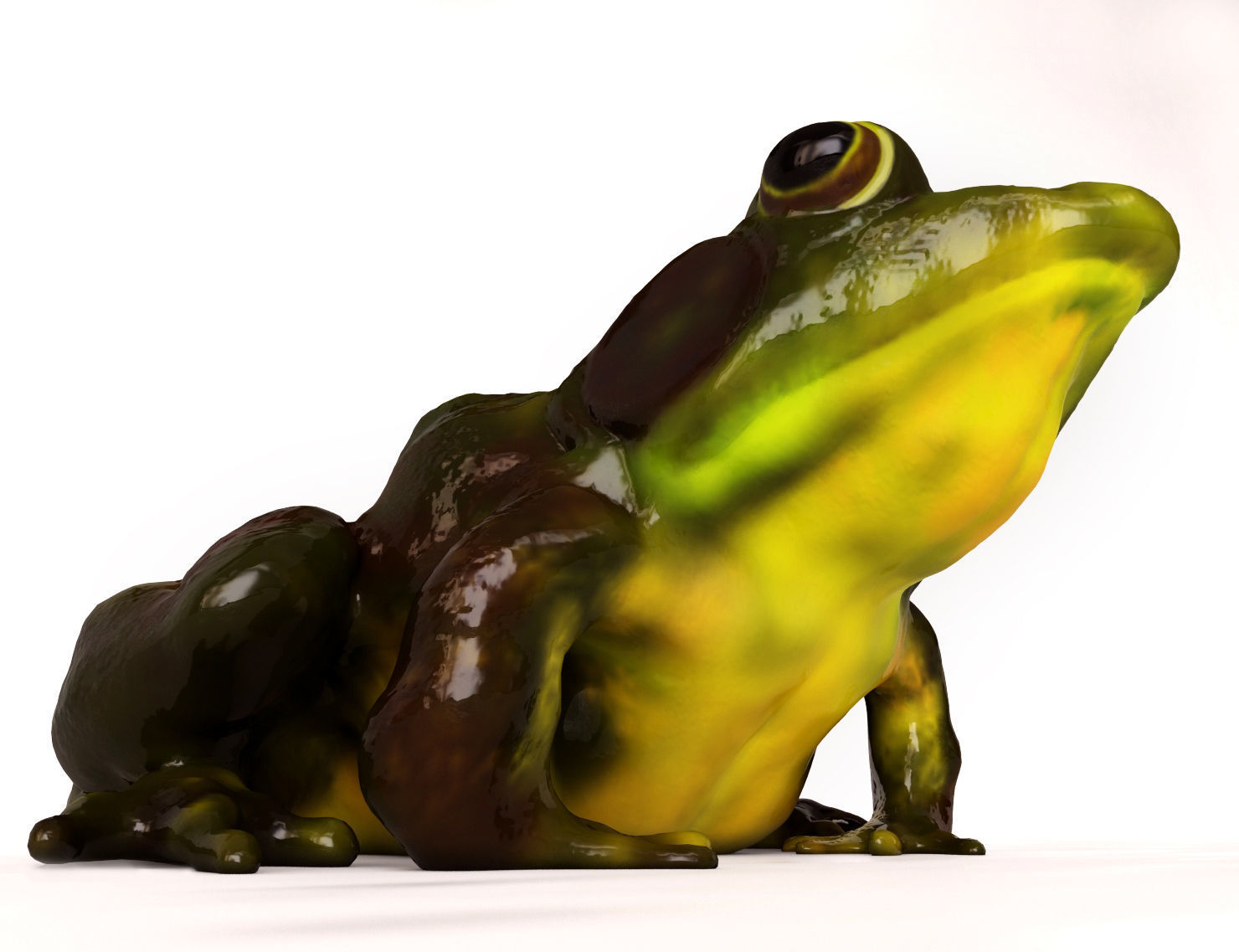 Need a talk 3D model_4