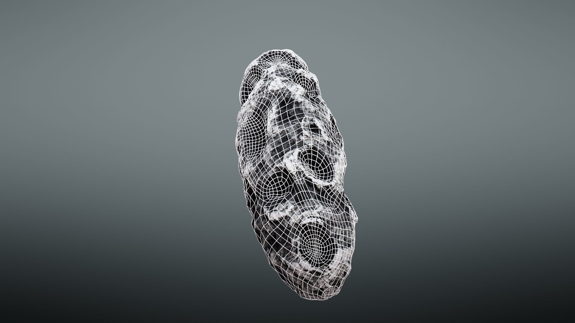 Asteroid rock Low-poly 3D model_29