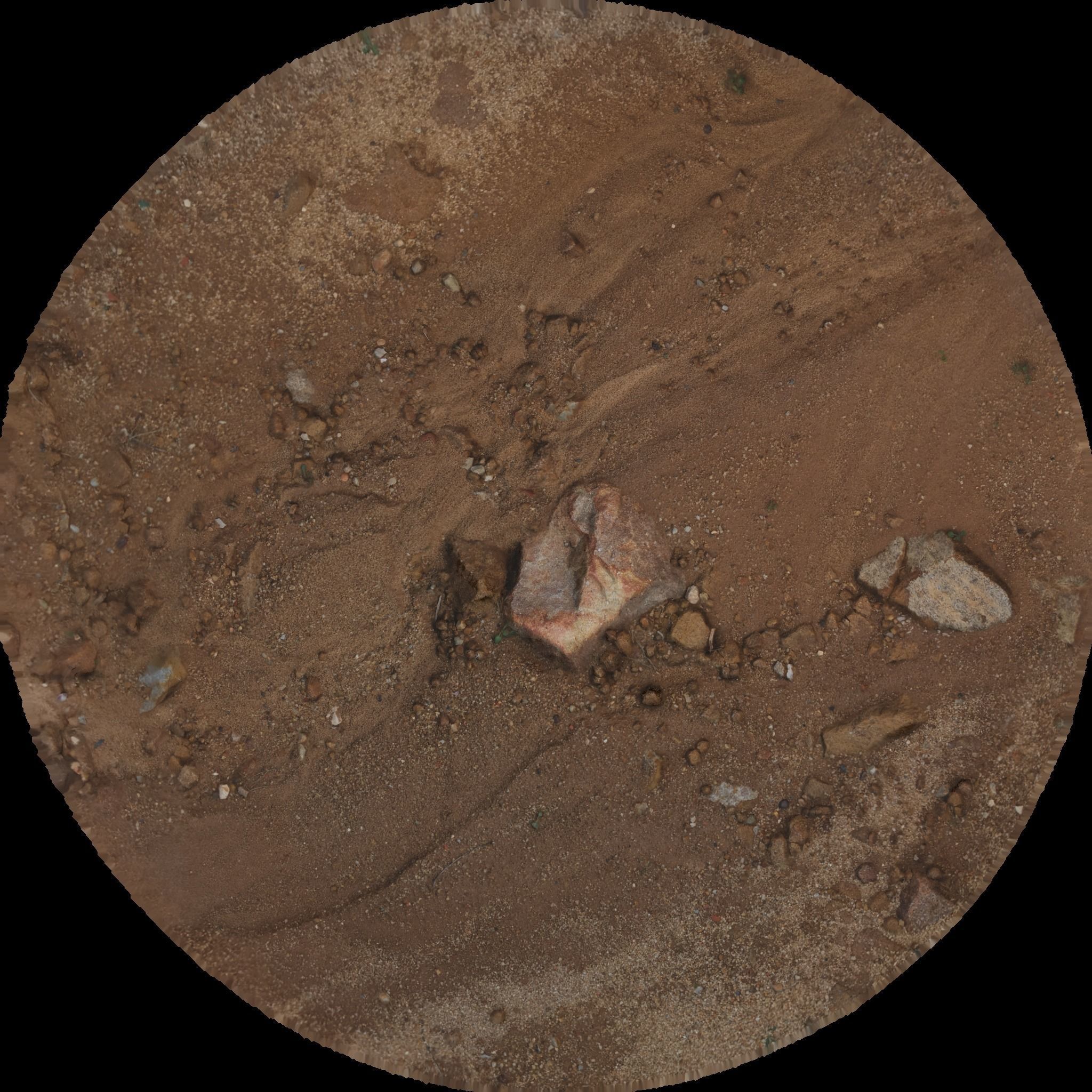 free 3dscan sand Free low-poly 3D model_3