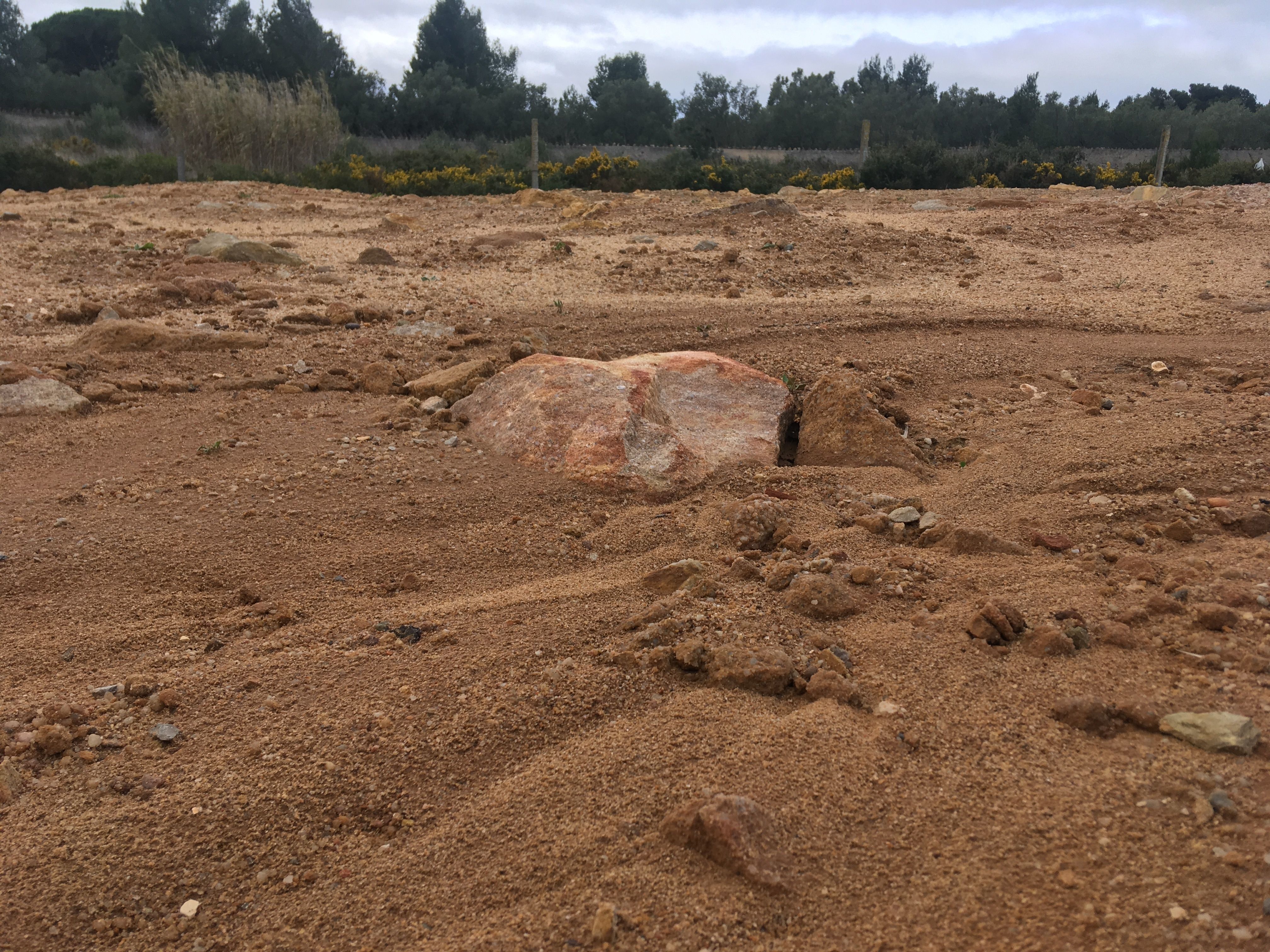 free 3dscan sand Free low-poly 3D model_1