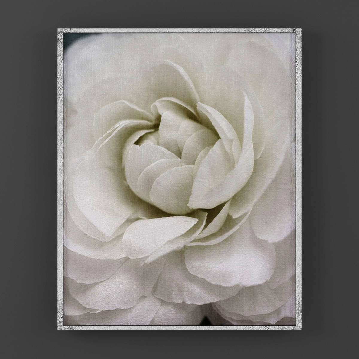 Art08 peony framed art Low-poly 3D model_2