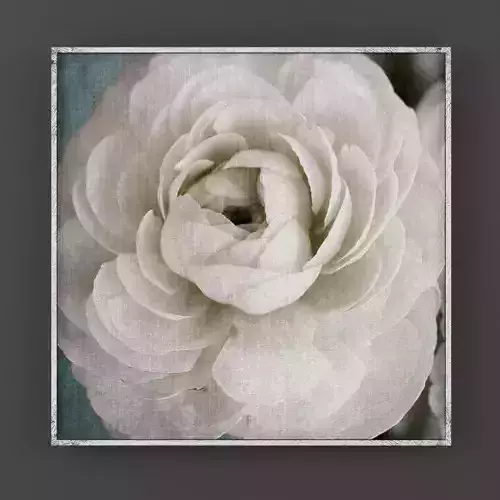 Art08 peony framed art