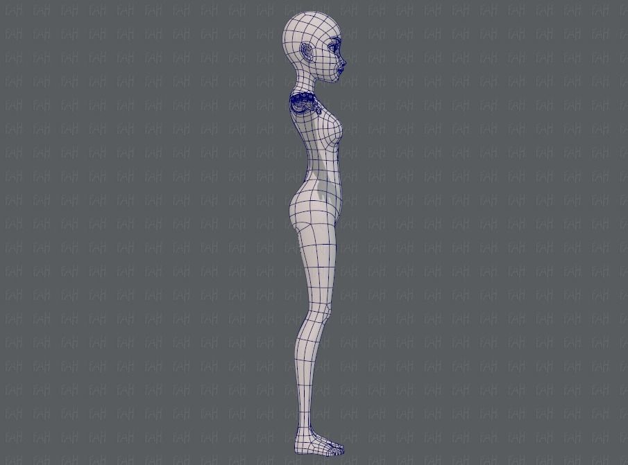 Base mesh woman 17 Low-poly 3D model_11
