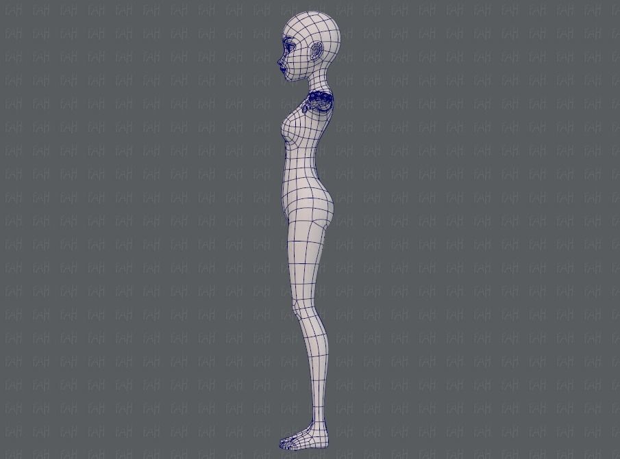 Base mesh woman 17 Low-poly 3D model_15