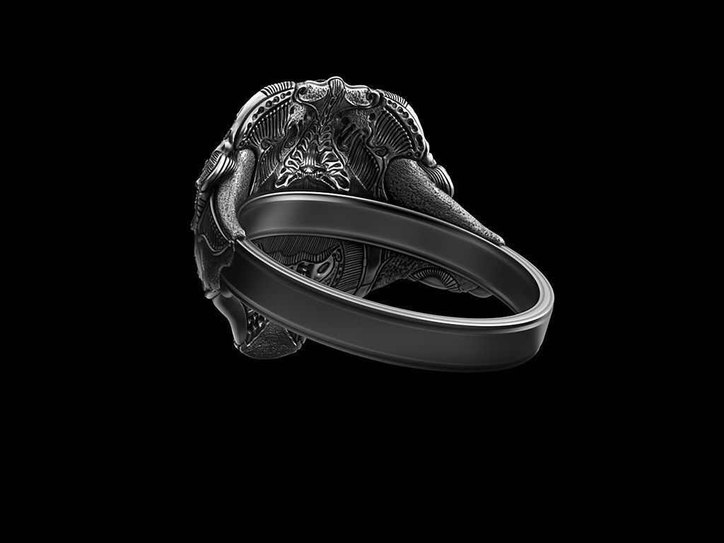 Ring Of Sheen Biomechanics Head 3D printing STL 3D print model  3D print model_4